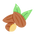 Almond
