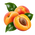 Abricot