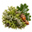 Mousse de chêne