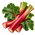 Rhubarbe