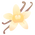 Vanille